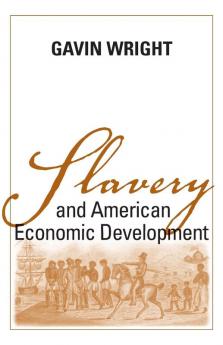 Slavery and American Economic Development