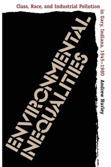 Environmental Inequalities