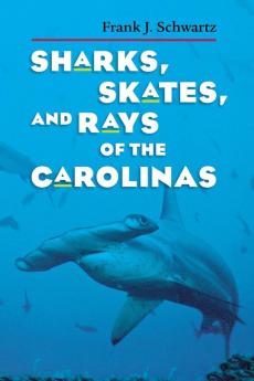 Sharks Skates and Rays of the Carolinas