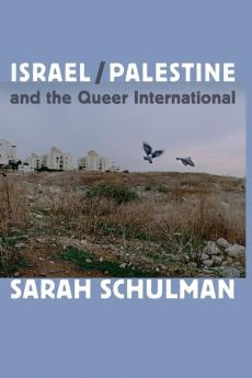Israel/Palestine and the Queer International