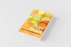 Theorizing NGOs