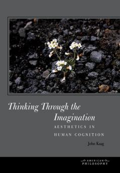 Thinking Through the Imagination: Aesthetics in Human Cognition (American Philosophy)