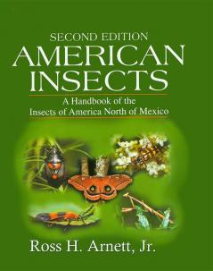 American Insects