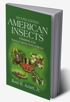 American Insects