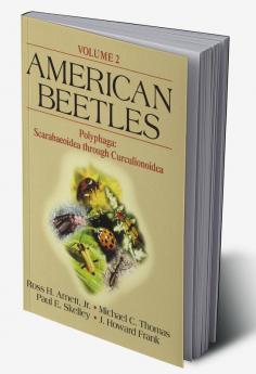 American Beetles Volume II