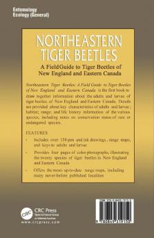 Northeastern Tiger Beetles