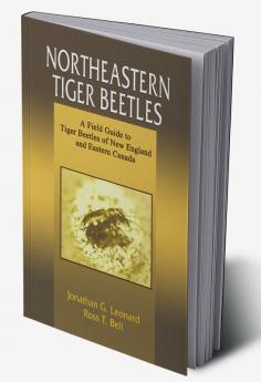 Northeastern Tiger Beetles