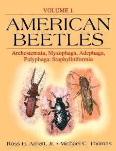 American Beetles Volume I