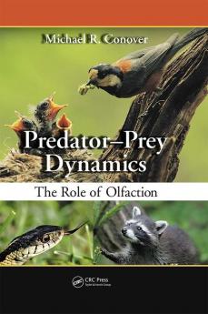 Predator-Prey Dynamics