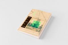 The Ecological City
