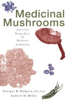 Medicinal Mushrooms: Ancient Remedies for Modern Ailments