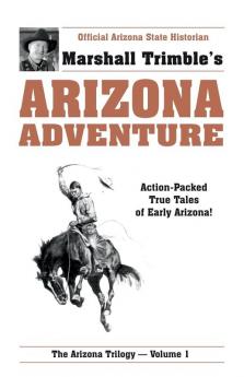 Arizona Adventure (Arizona Trilogy)