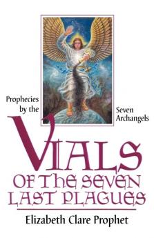 Vials of the Seven Last Plaques (Way of Life Book)