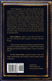 Subtle Worlds: An Explorer's Field Notes