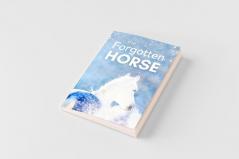 The Forgotten Horse - Book 1 in the Connemara Horse Adventure Series for Kids. The perfect gift for children age 8-12.