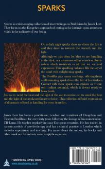 Sparks: Flashes of insight from the Buddha's fire
