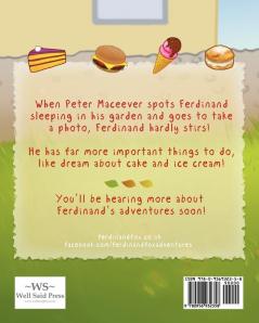 Ferdinand Fox's Big Sleep
