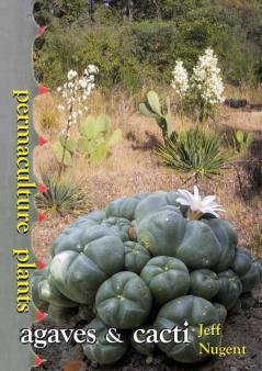 Permaculture Plants: agaves and cacti: 2