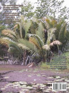 Permaculture Plants: Palms and Ferns: 3