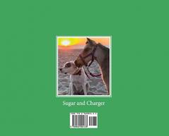 The Sugar Shack