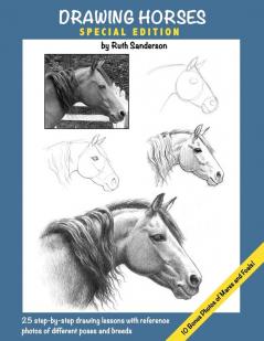DRAWING HORSES