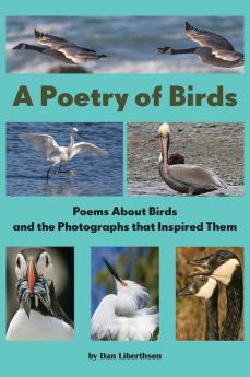 A Poetry of Birds