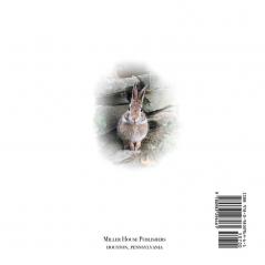 A Bunny's Sojourn