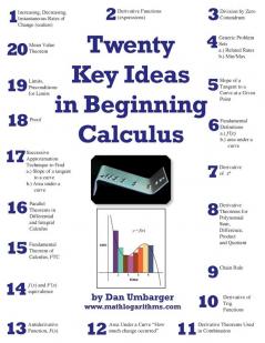 Twenty Key Ideas in Beginning Calculus
