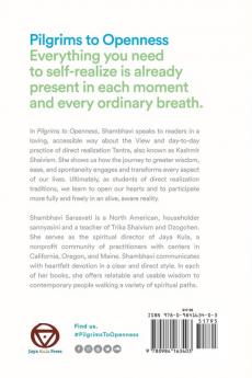 Pilgrims to Openness: Direct Realization Tantra in Everyday Life