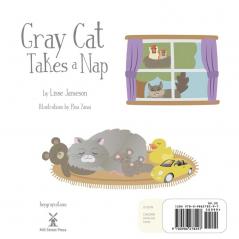 Gray Cat Takes a Nap