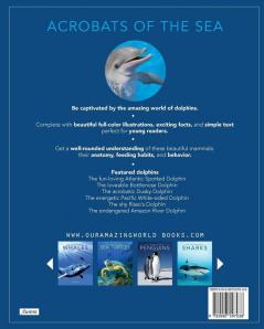 Dolphins: Amazing Pictures & Fun Facts on Animals in Nature