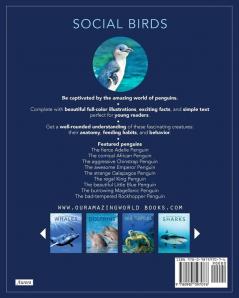 Penguins: Amazing Pictures & Fun Facts on Animals in Nature