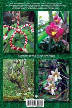 Photo Intro to: Wild Orchids of Borneo