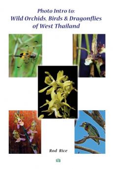 Photo Intro to: Wild Orchids Birds & Dragonflies of West Thailand