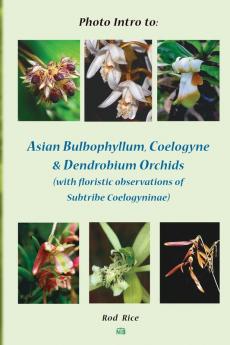 Photo Intro to: Asian Bulbophyllum Coelogyne & Dendrobium Orchids (with floristic observations of Subtribe Coelogyninae)