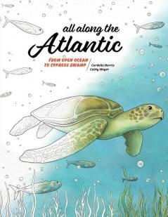 All Along the Atlantic: From Open Ocean to Cypress Swamp: 2 (Coloring Nature)