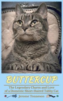 Buttercup - The Legendary Charm and Love of a Domestic Short-Haired Tabby Cat