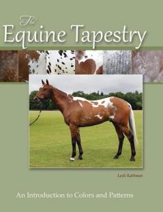 The Equine Tapestry: An Introduction to Colors and Patterns