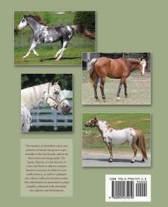 The Equine Tapestry: An Introduction to Colors and Patterns