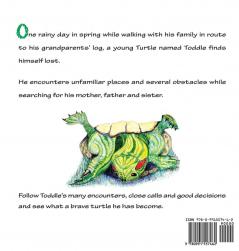 Toddle Turtle's Odyssey