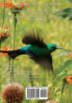 DIVINE EMBRACE New 30 Chapter 458page Revised Edition