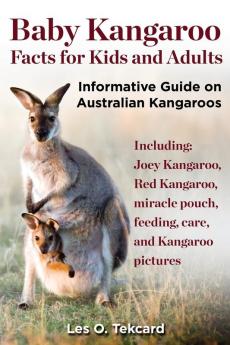 Baby Kangaroo Facts for Kids and Adults