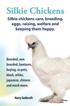 Silkie Chickens Care Breeding Eggs Raising Welfare and Keeping Them Happy: Bearded Non Bearded Bantoms Buying as Pets Black White Japanese Chinese and Much More