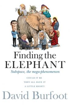 Finding the Elephant: Subspace the Mega-phenomenon