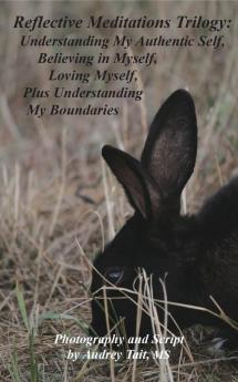 Reflective Meditations Trilogy: Understanding My Authentic Self Believing in Myself Loving Myself Plus Understanding My Boundaries