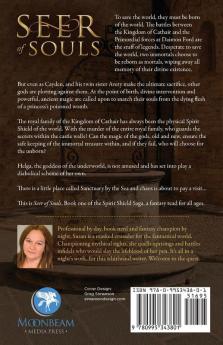 Seer of Souls: (The Spirit Shield Saga Book One): 1