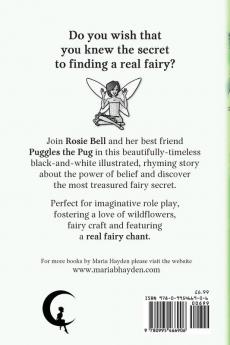 The Fairy Secret