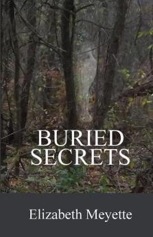 Buried Secrets: Sequel to the The Cavanaugh House: 2 (Finger Lakes Mysteries)