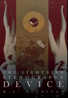 The Lightning Stenography Device