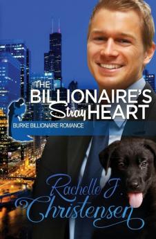 The Billionaire's Stray Heart: 2 (Burke Billionaire Romance)